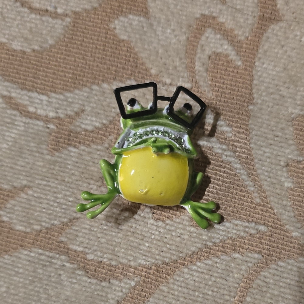 Nerdy Frog Brooch with Glasses